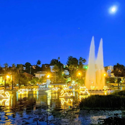 Los Angeles Echo Park: Swan Boats Rental - Photo 3