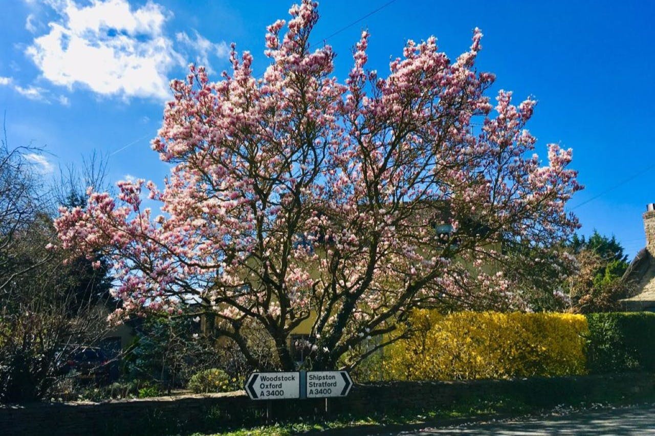 コッツウォルズ