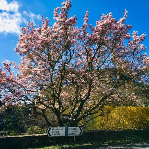 Cotswolds: Excursão de grupo pequeno a partir de Londres com Bourton-on-the-Water - Photo 5