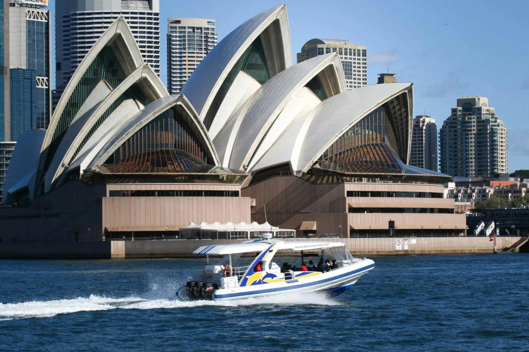 Sydney: giro in barca per l'osservazione delle balene di 2,5 ore — 3