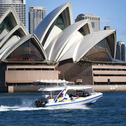 Sydney: 2.5-Hr Whale Watching Boat Ride 3
