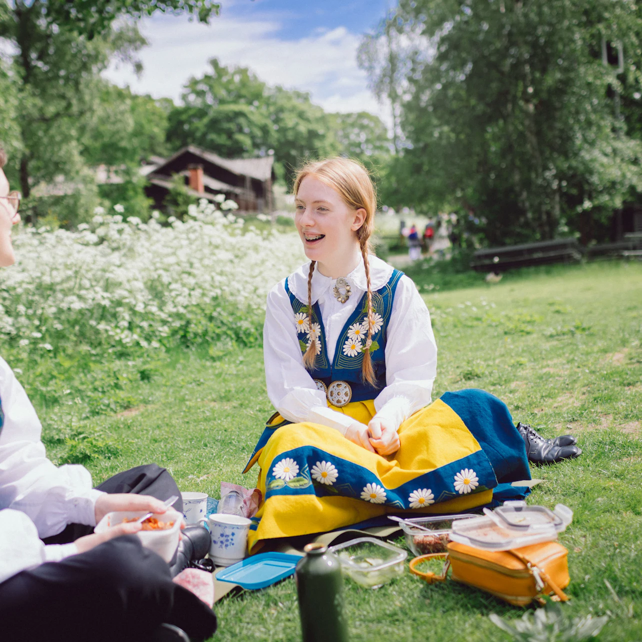 Skansen: Open-Air Museum and Nordic Zoo in Stockholm β Tiqets