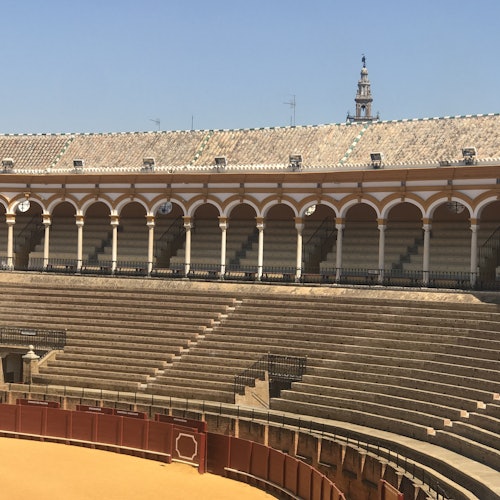 Real Maestranza: Guided Tour with Optional Seville Cathedral Visit