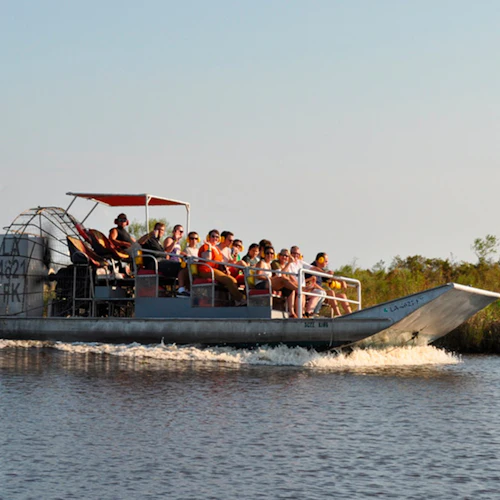 New Orleans: Swamp Guided Large Airboat Tour + Roundtrip Transport