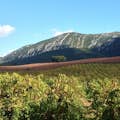 Arrabida vineyards landscape 