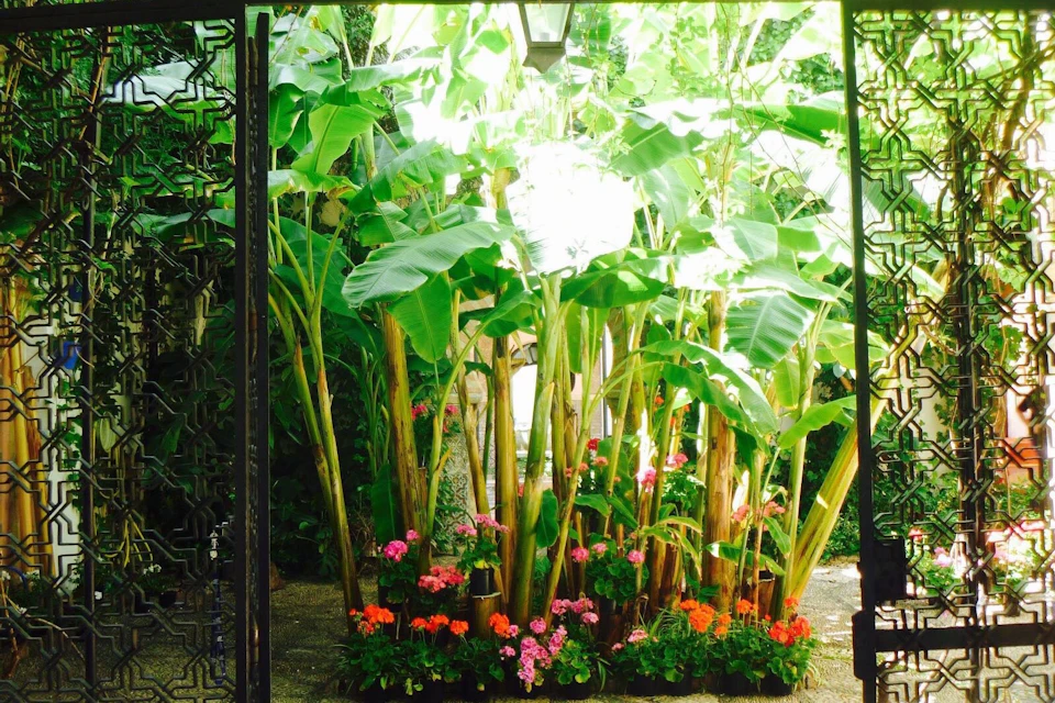 Entrance Courtyard