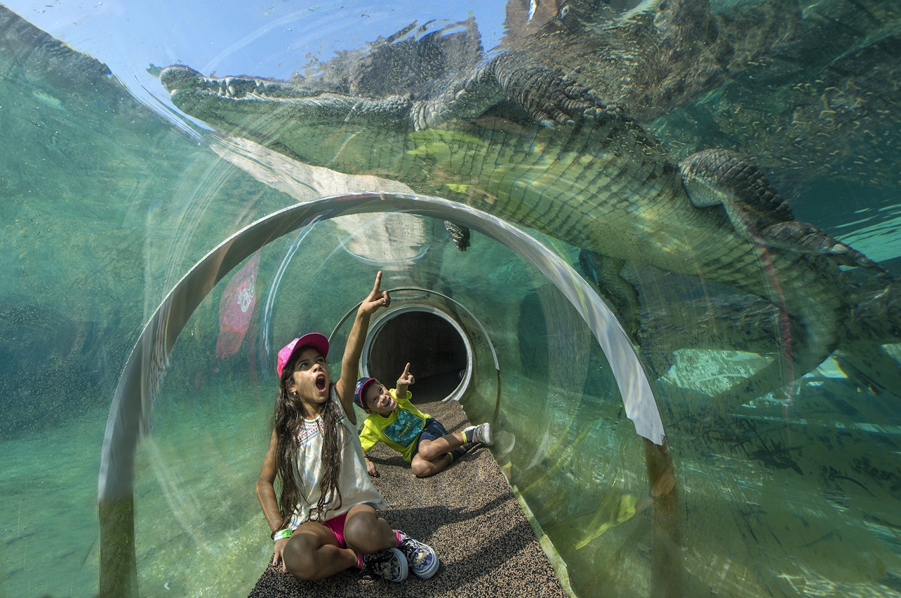 Zoo Miami: Salta la fila per entrare - Alloggi in Miami