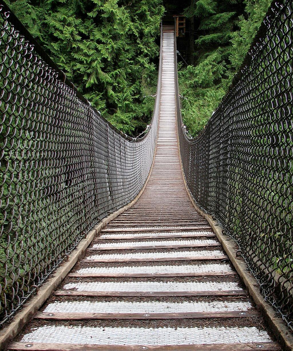 Uma ponte suspensa com laterais de rede metálica estende-se sobre uma floresta, conduzindo a uma plataforma de madeira rodeada por uma densa folhagem verde.