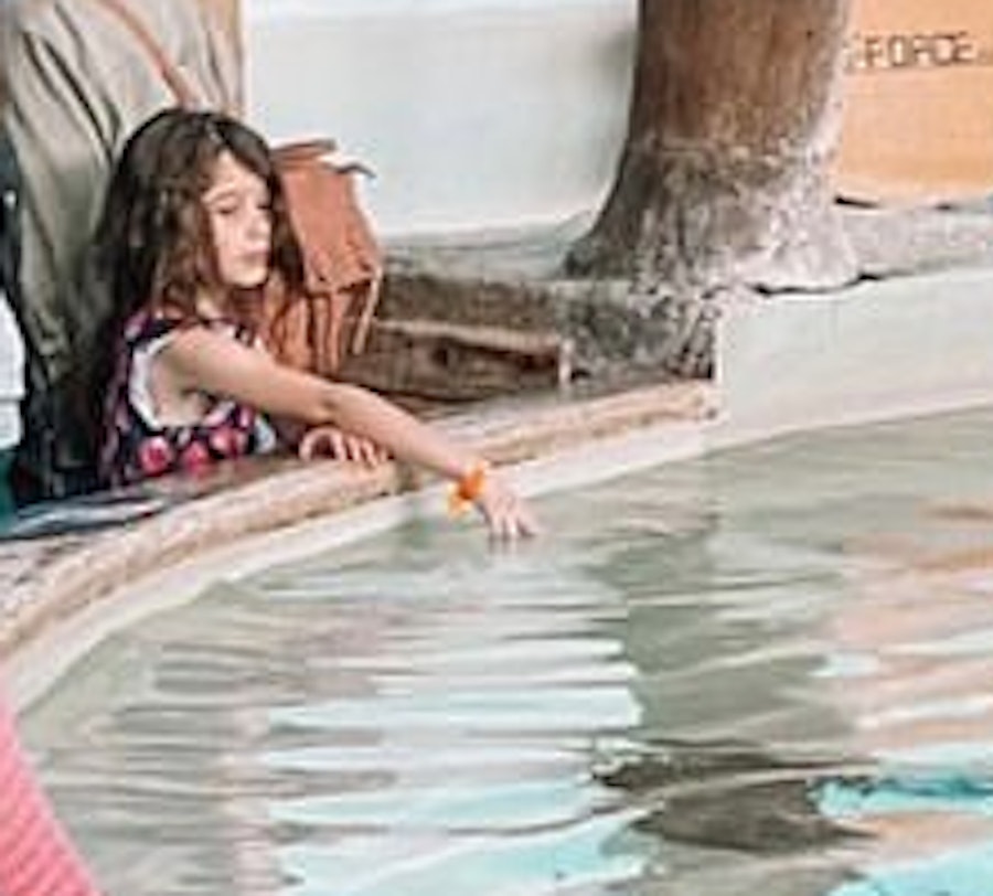 Denver Downtown Aquarium Tickets Hellotickets