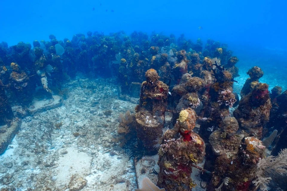 Submerged statues covered in coral and marine life, arranged in rows on a sandy ocean floor under blue water.