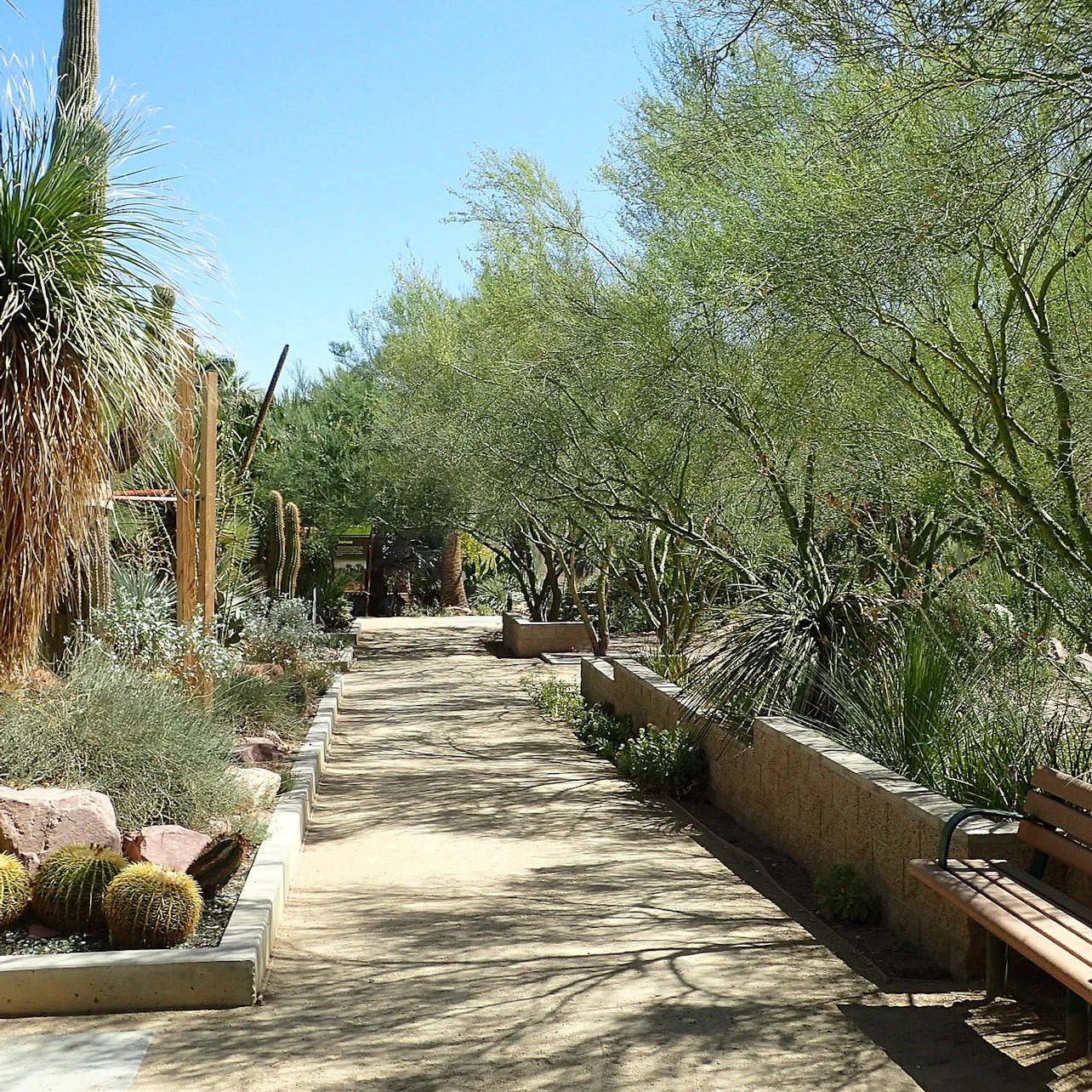 Springs Preserve & Nevada State Museum in Las Vegas – Tiqets