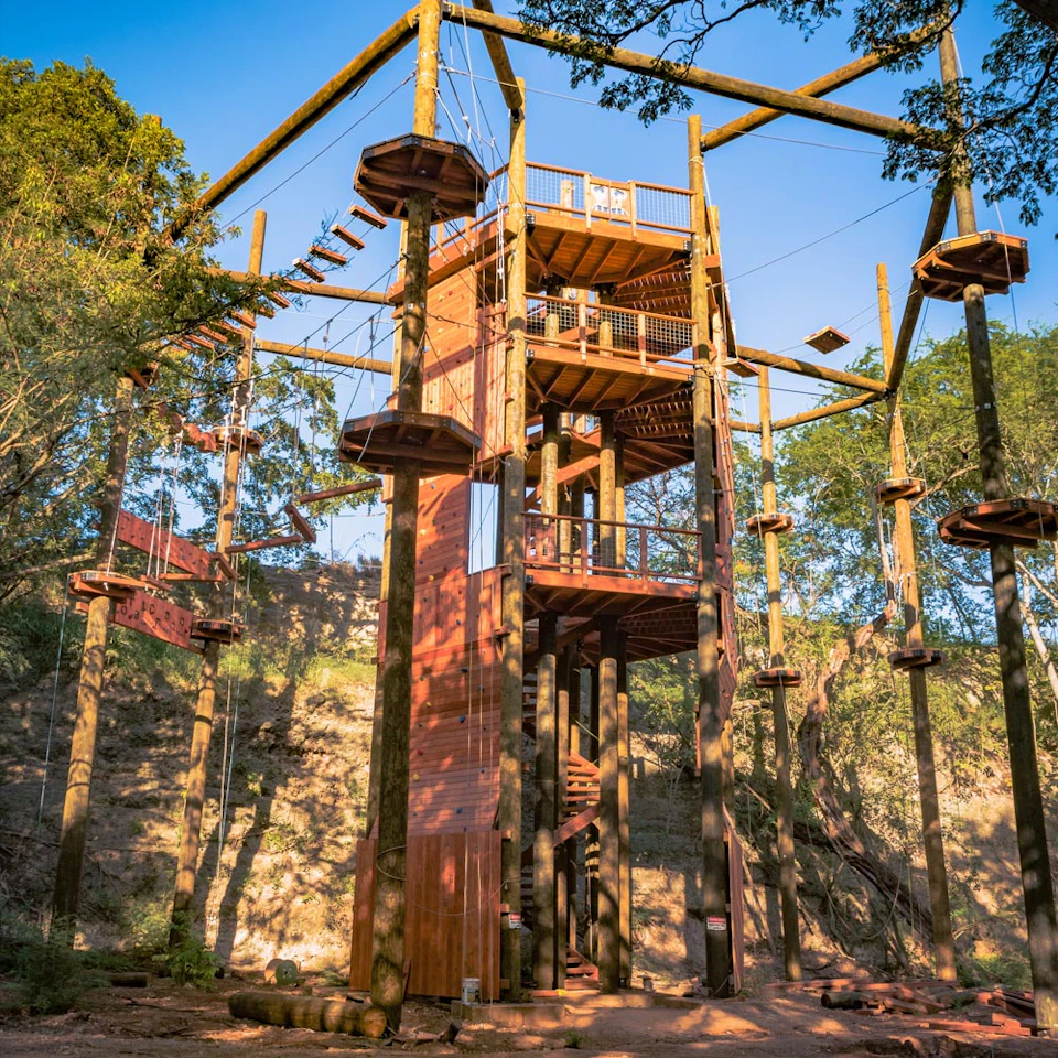 Multi-level wooden adventure park structure with ropes and platforms, set among tall trees under a clear sky.