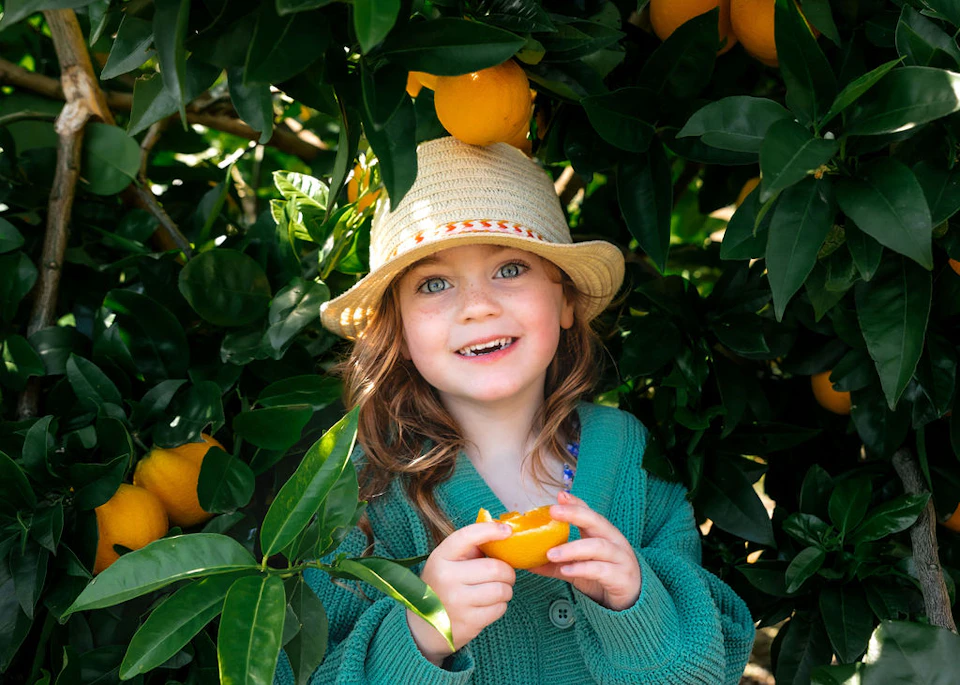 Child wearing a hat and green sweater smiling and holding an orange, surrounded by green leaves and oranges on a tree.