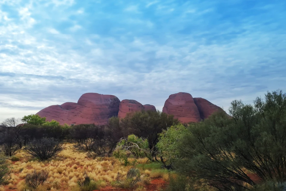 Red rock formations rise behind green and dry bushes under a partly cloudy sky.
