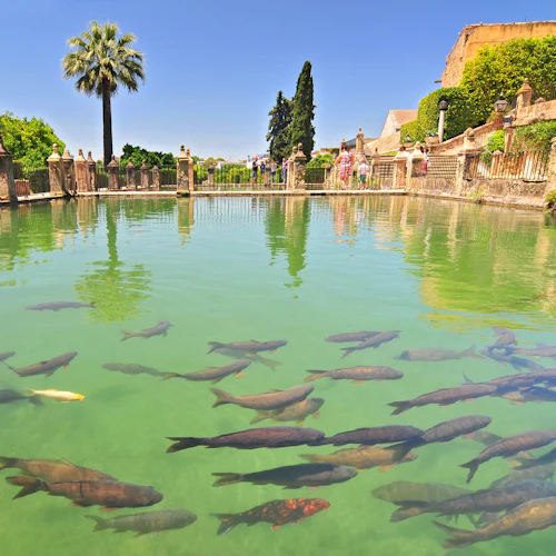 Alcazar of the Christian Monarchs: Guided Visit - Photo 7
