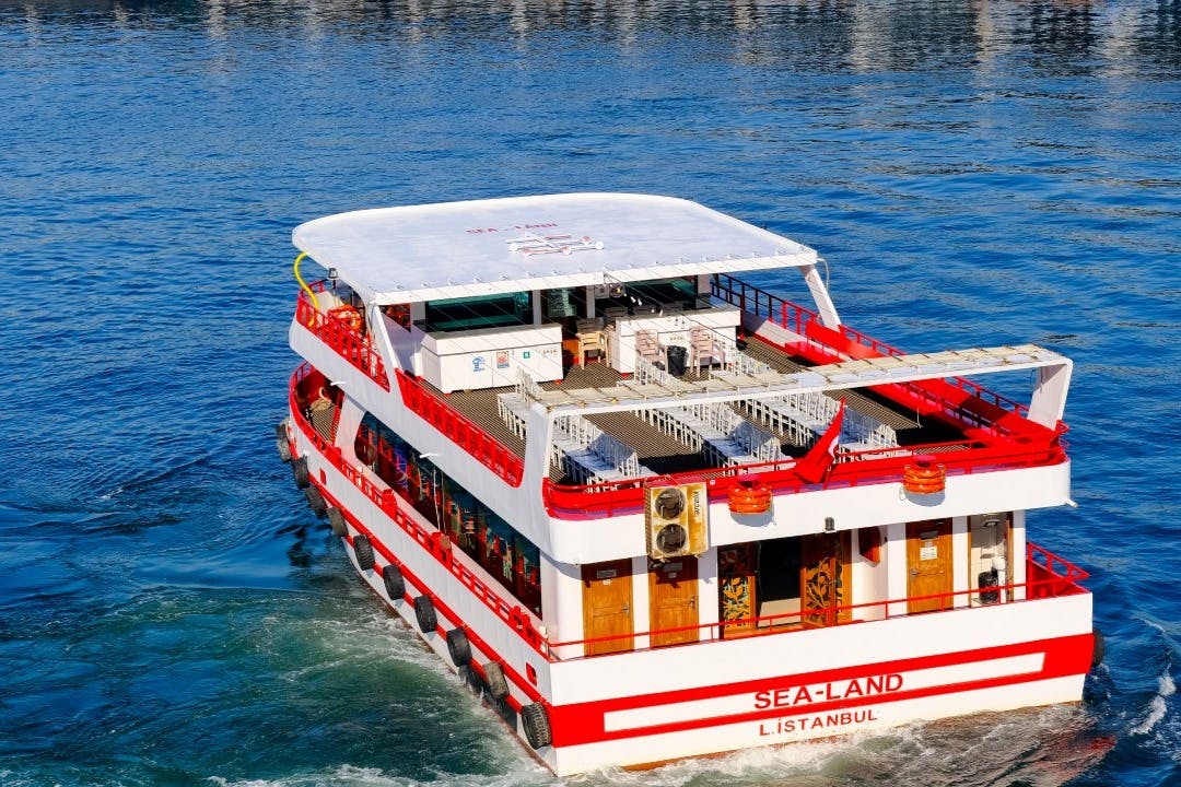 Istanbul: Bosphorus Sightseeing Cruise 4