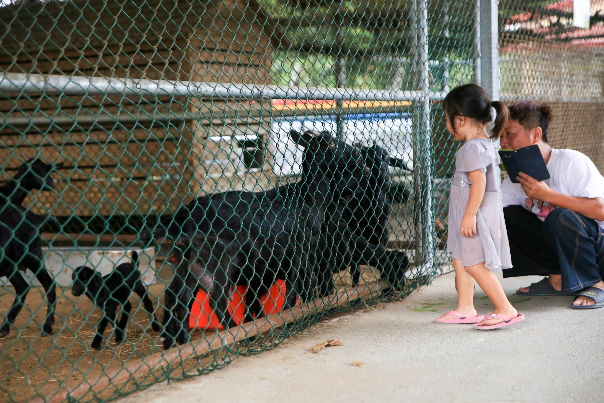Tsou Ma Lai Farm Tainan: Entry Ticket + Game Voucher for 6 Attractions