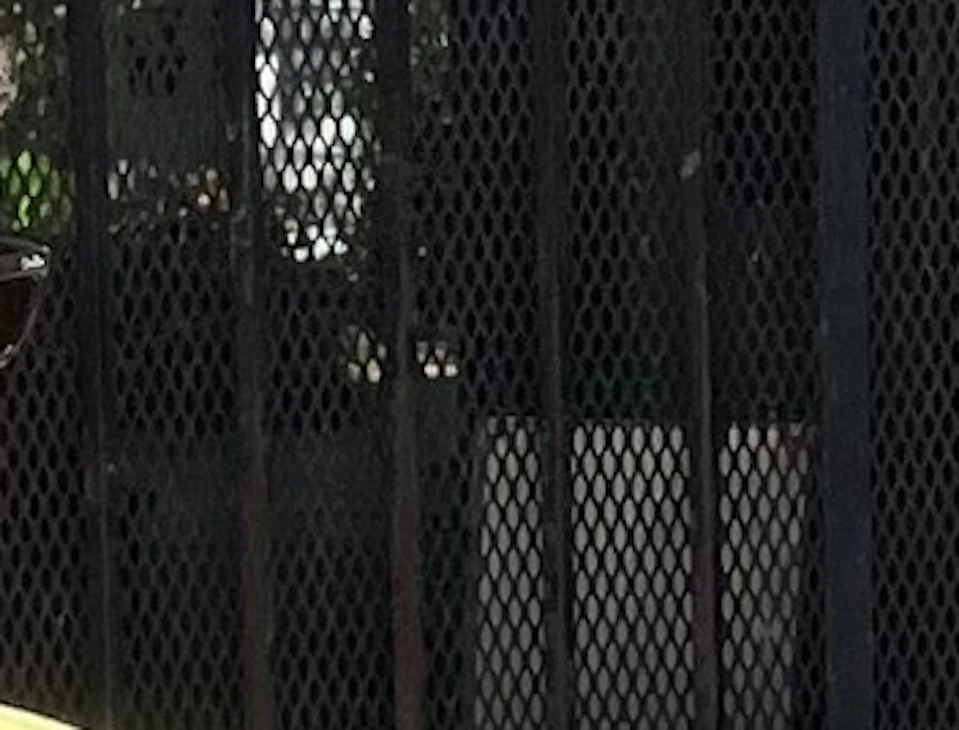 A group of people stands near a building entrance, with one person gesturing towards the gated doorway, in a sunny urban setting.