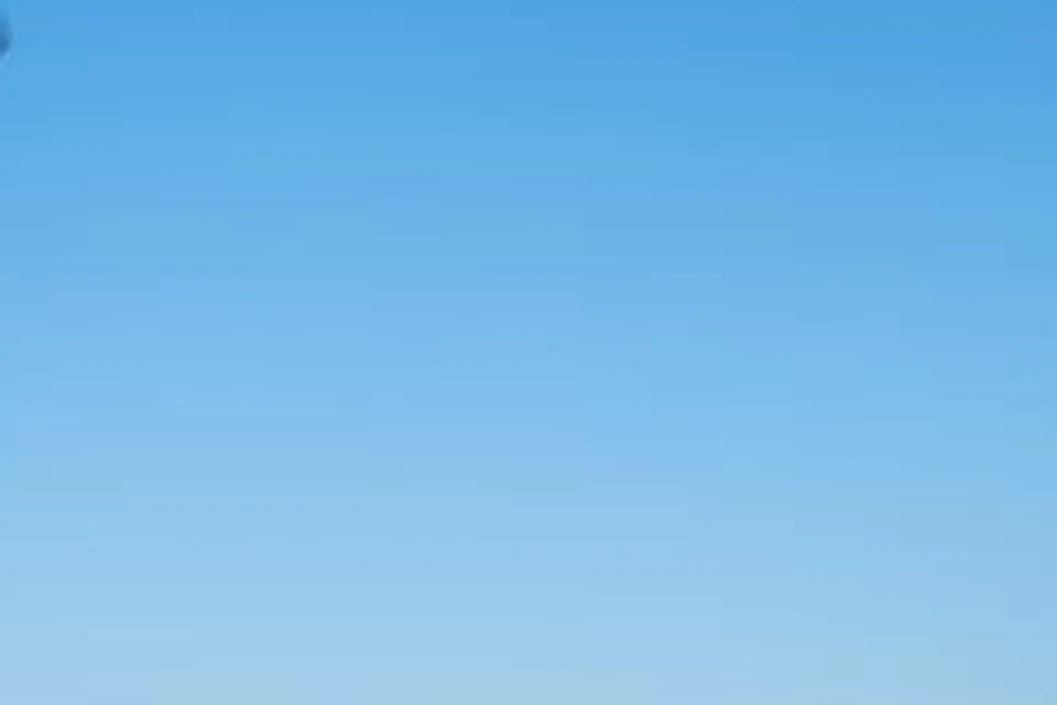 A person in a red hoodie gestures near a waterfront with moored sailboats under a clear blue sky, with others nearby.