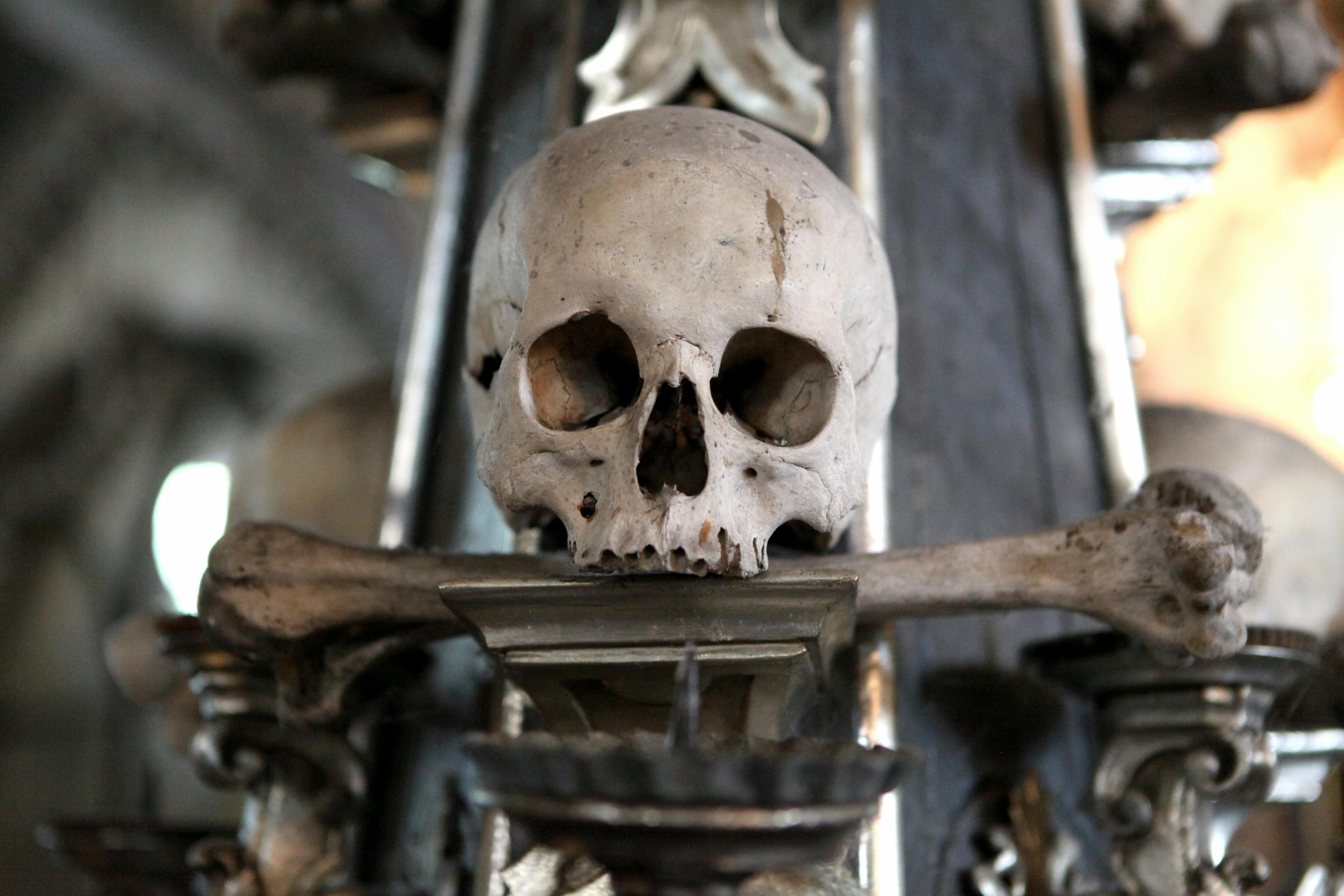 クトナー ホラとセドレツ納骨堂のガイド付きツアー Tiqets