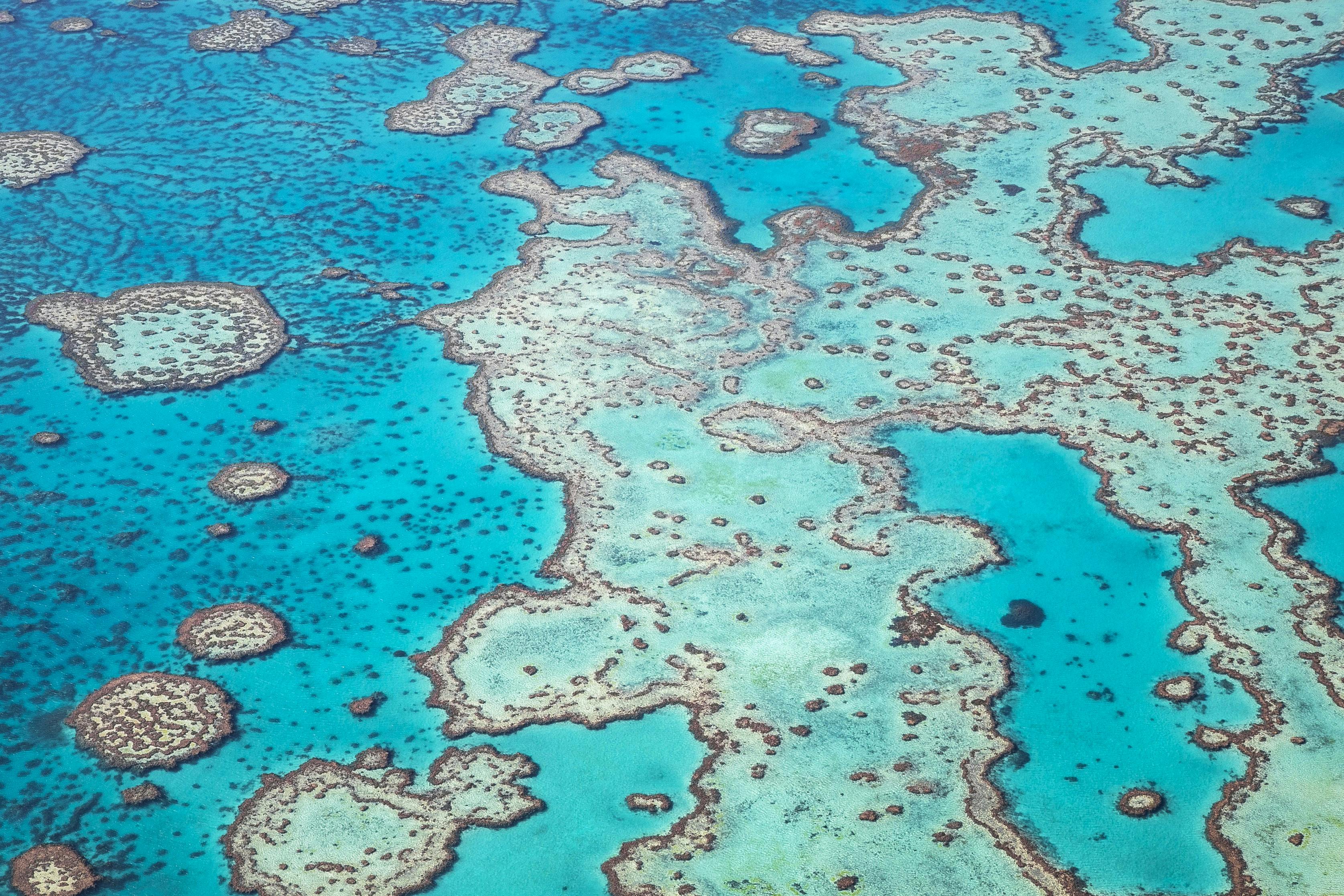 Aerial view of a coral reef surrounded by turquoise blue water, featuring intricate patterns of islands and shallow areas.