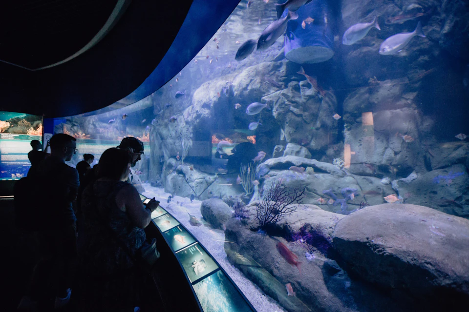 People observing various fish and aquatic life inside a large, curved aquarium tank with informational display panels.