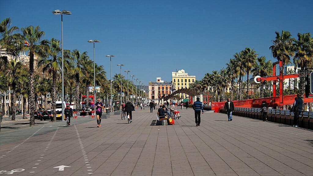 在晴朗的蓝天下，人们沿着一条宽阔的人行道漫步、慢跑和骑自行车，两旁是棕榈树和路灯。