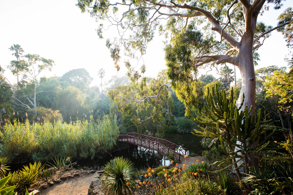 Rippon Lea Estate Formal Garden