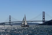 Segelbåtöverfart framför Golden Gate-bron i San Francisco Bay