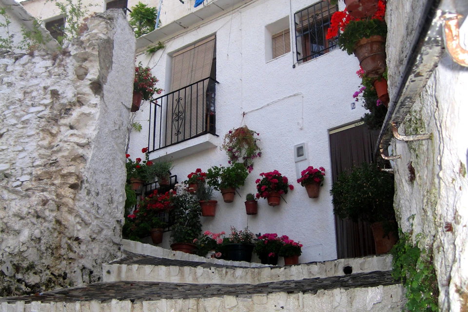Traditional street of Pampaneira