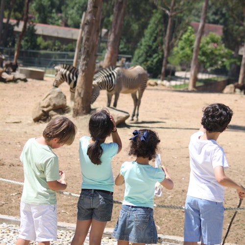Zoo Santo Inácio: Skip The Line Ticket