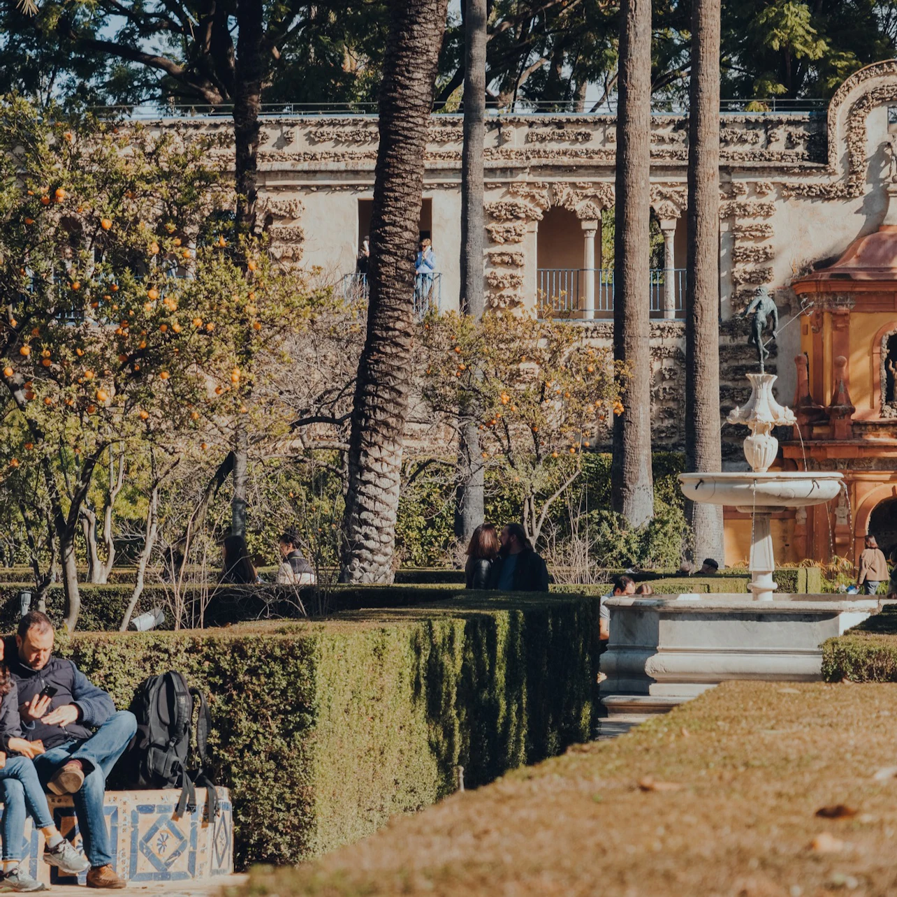 Slider Image