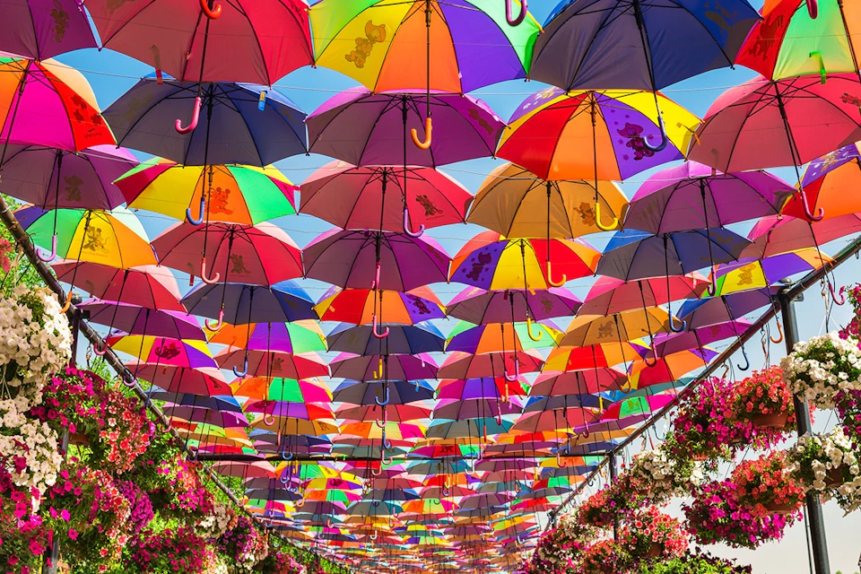 Miracle Garden - photo opportunity