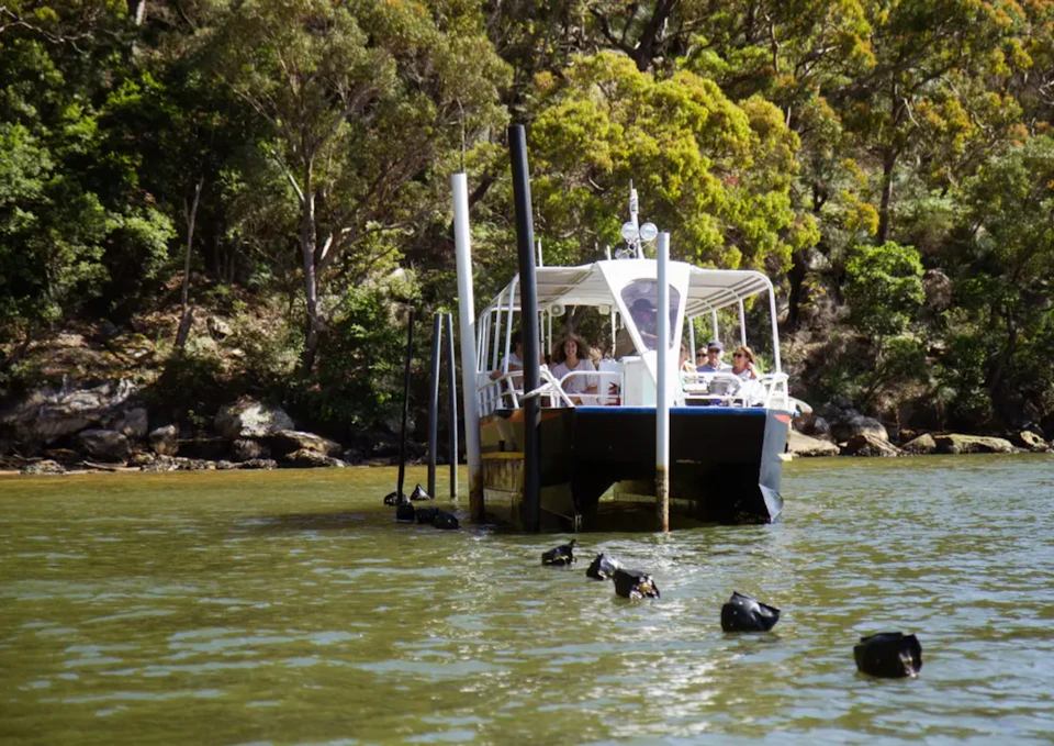 A boat with a white canopy docked on a river surrounded by trees, with people visible onboard.
