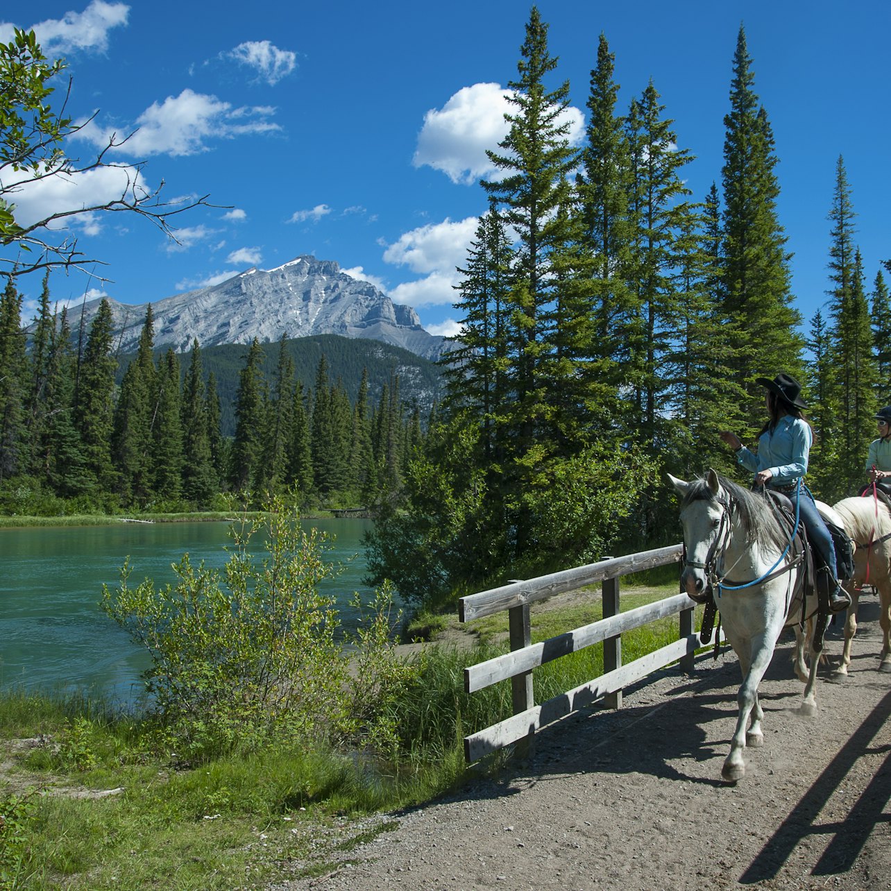 Passeio a cavalo ao longo do Rio Bow a partir de Banff - Acomodações em Banff