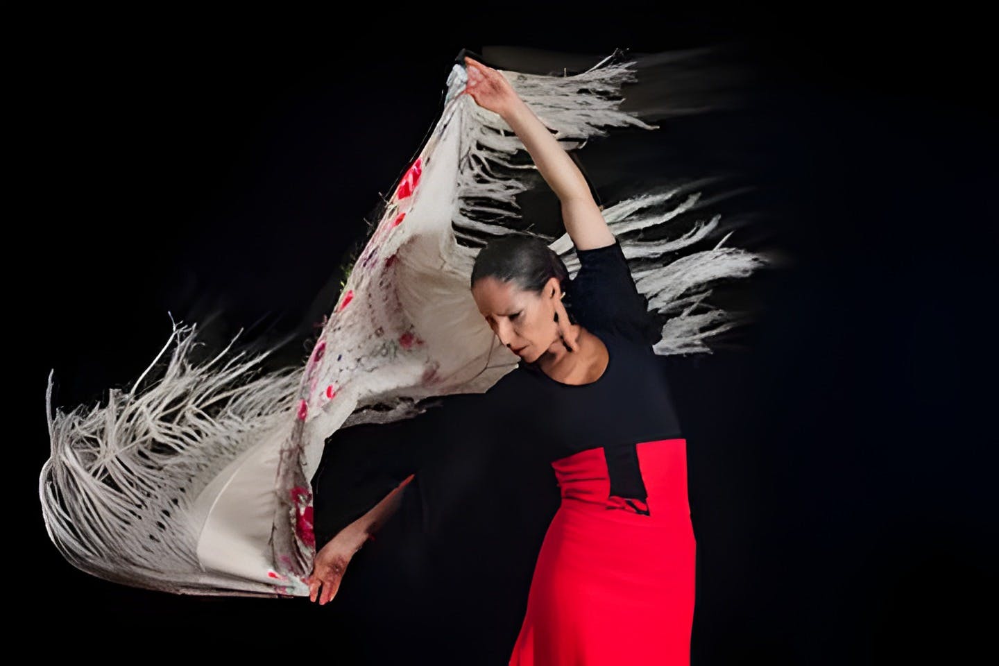 전통 플라멩고 댄스