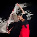 Traditional flamenco dance