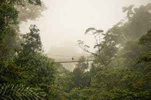 Excursions à la journée