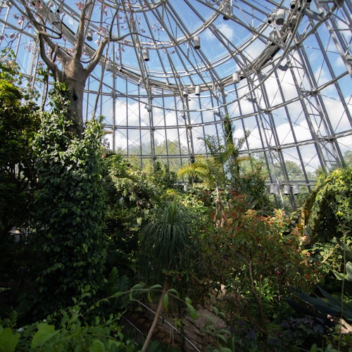 Tour Image 2