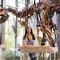 Galeria de dinosaures de la família Naylor al Museu Witte