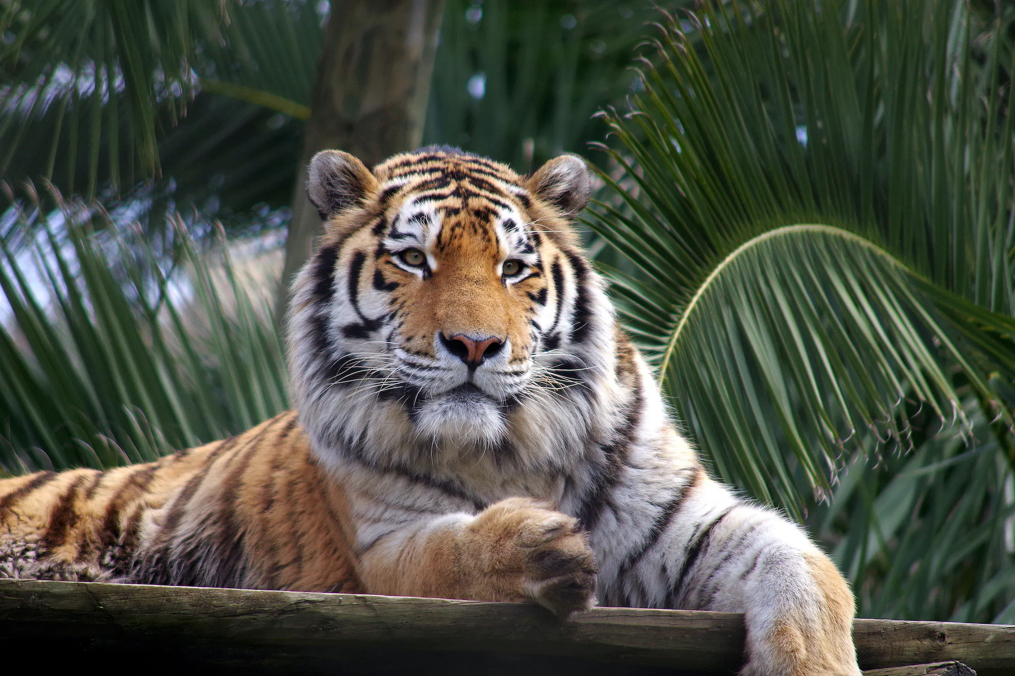 Theme Parks in Lisbon