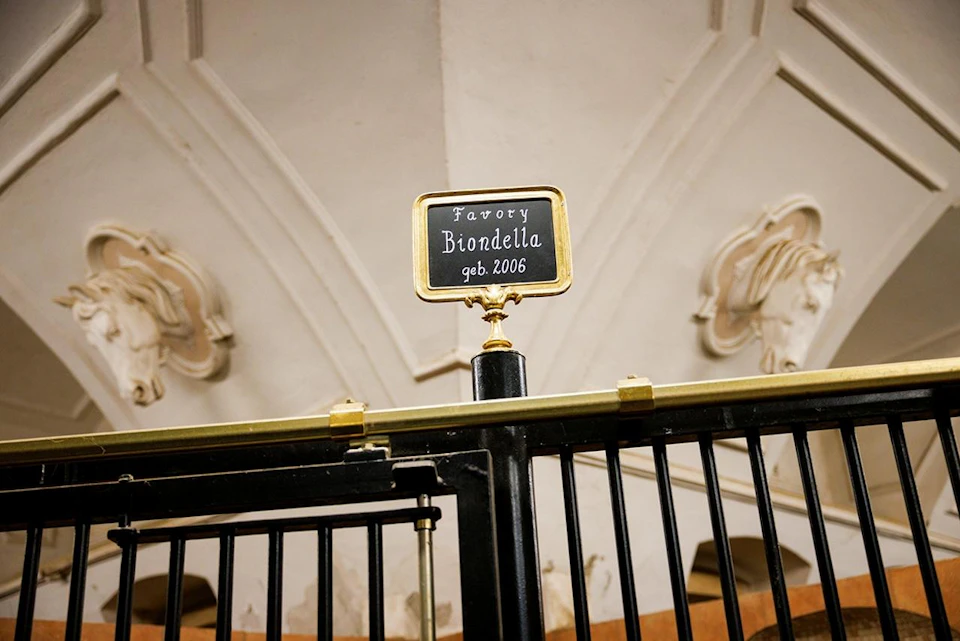 Plaque with "Favori Biondella geb. 2006" on a gold frame attached to a black metal structure, with an ornate ceiling behind.