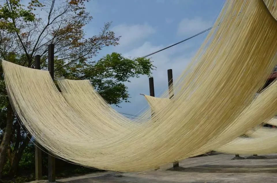 Thin strands of noodles drying on horizontal poles outdoors under a clear sky, with trees in the background.