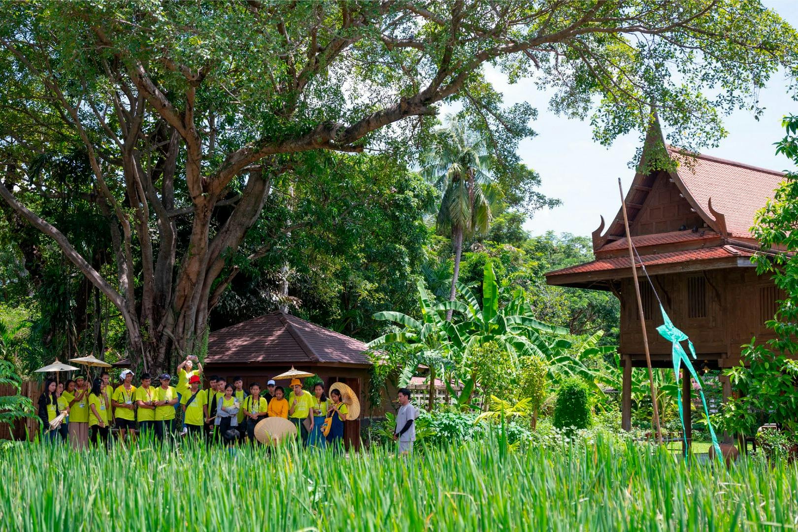 Activité dans une rizière locale thaïlandaise