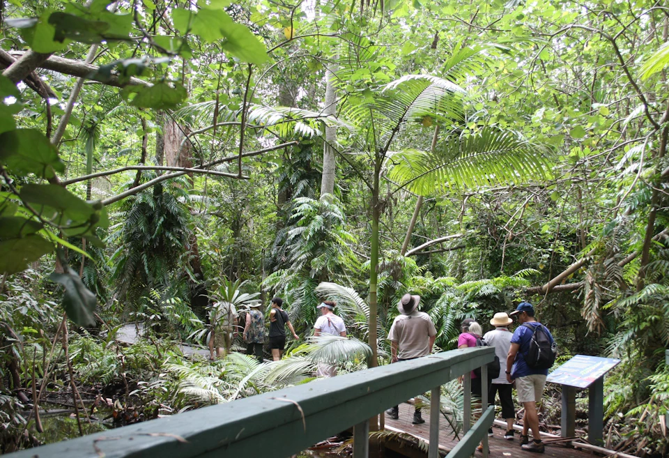A group of people walks through a lush, green tropical forest on a wooden path, flanked by dense vegetation and tall trees.