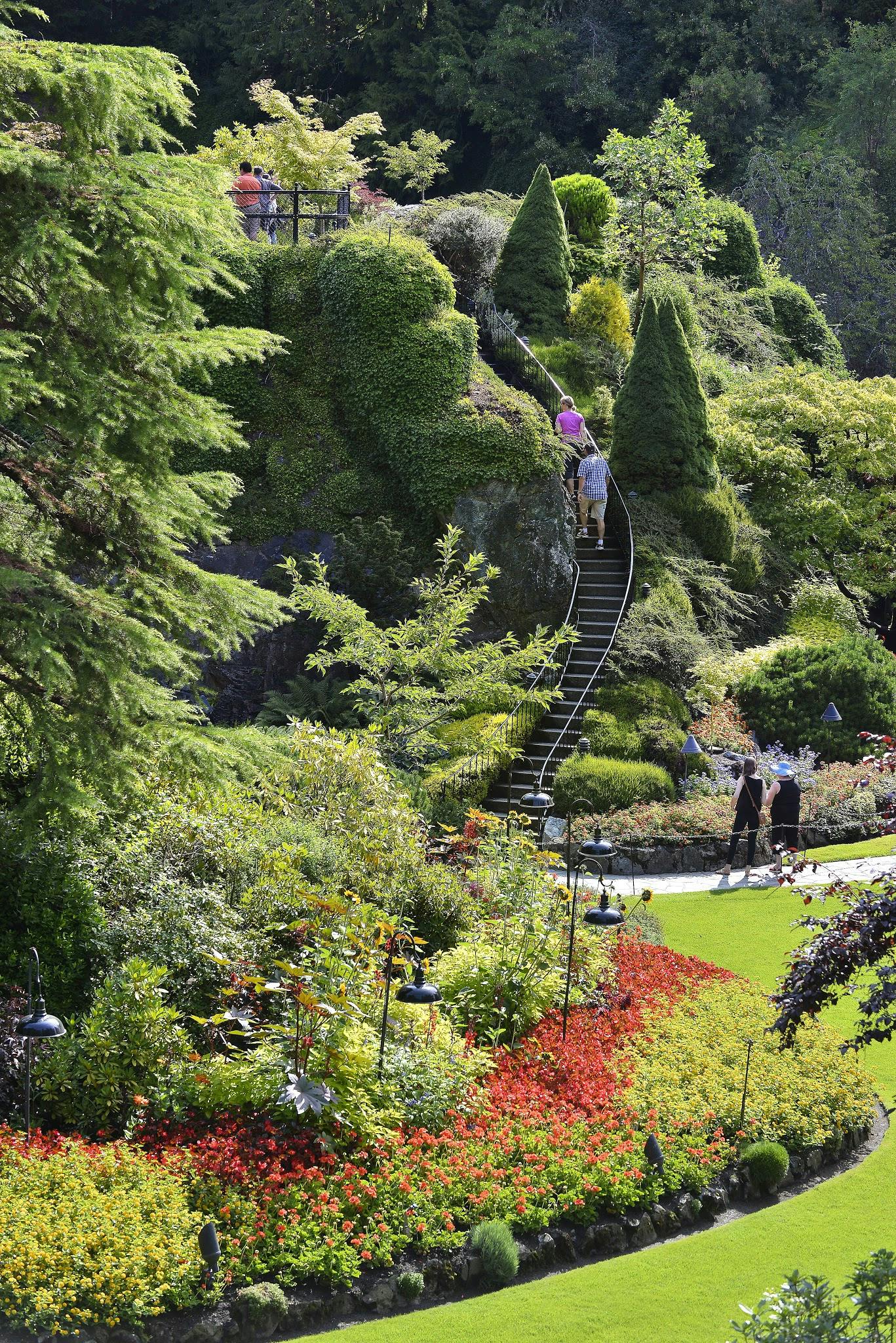 Οι άνθρωποι ανεβαίνουν μια σπειροειδή σκάλα σε έναν καταπράσινο, διαμορφωμένο κήπο με διάφορα δέντρα και φυτά.