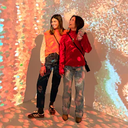 Orange Tree Room - ILUZIONA