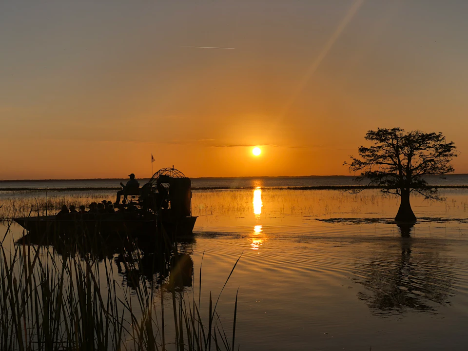 Airboat with passengers on a calm lake at sunset, surrounded by reeds and a lone tree in the water.