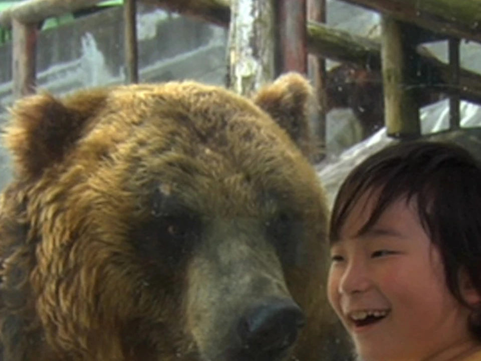 A family of three smiles while observing a large brown bear through a glass enclosure at a zoo or wildlife park.
