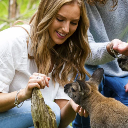 Moonlit Sanctuary Wildlife Conservation Park: Entry Ticket - Photo 3